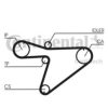 CONTITECH CT810 Timing Belt